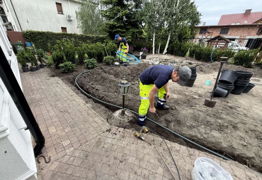 Wykopy pod linie nawadniające wzdłuż żywopłotu